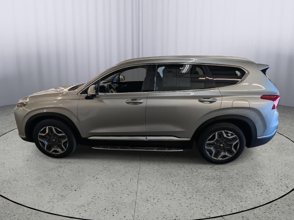 Used 2021 Hyundai Santa Fe Limited with VIN 5NMS44AL8MH323019 for sale in Kansas City
