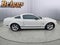2007 Ford Mustang Shelby GT