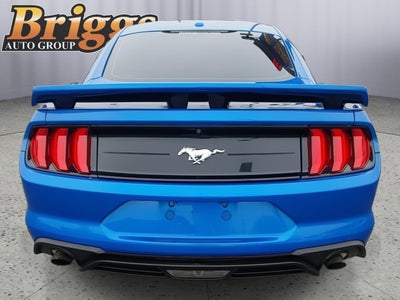 2019 Ford Mustang EcoBoost